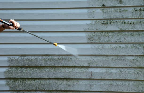 Best Sidewalk and Walkway Cleaning  in Ocean Park, WA